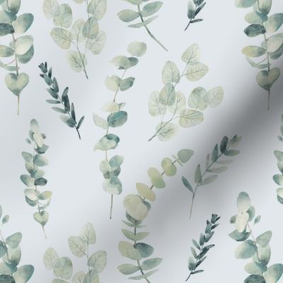 Silver Dollar Eucalyptus / Pale Blue Gray