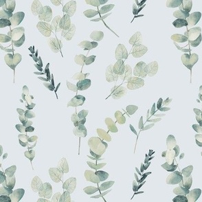 Silver Dollar Eucalyptus / Pale Blue Gray