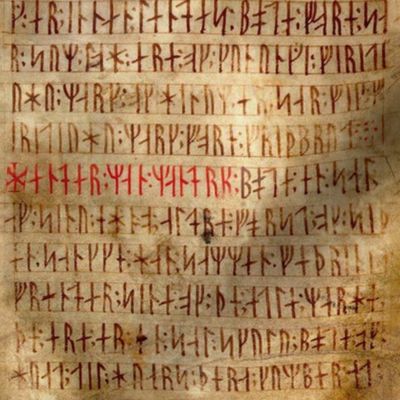 Codex Runicus Orginal