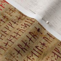 Codex Runicus Orginal