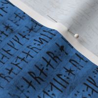 Codex Runicus Blue