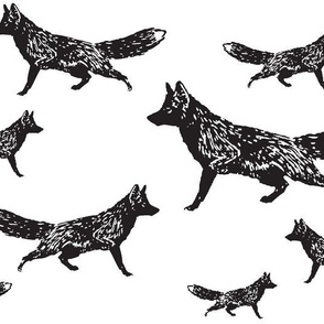 Trotting Foxes in Black