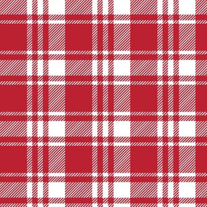 red plaid || the lumberjack