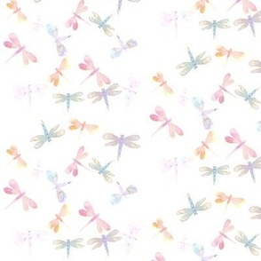 Small / Dragonflies