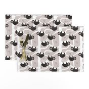 Sweet pura vida costa rica jungle animals sloths gray black and white