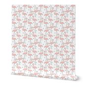 Soft Pink Flamingos on White