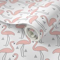 Soft Pink Flamingos on White