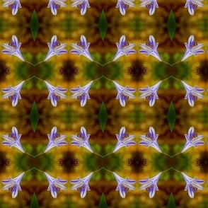 agapanthus_macro_pattern