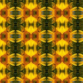 Sunflower_Bee_Pattern