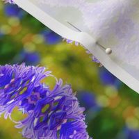 Agapanthus_Bokeh_Pattern