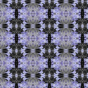 Agapanthus_coloursplash_pattern