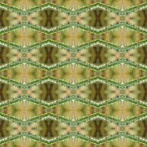 Grass_droplets_pattern