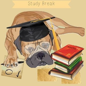 Mastiff Study Break