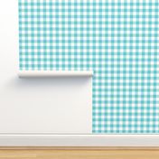 Gingham Aqua