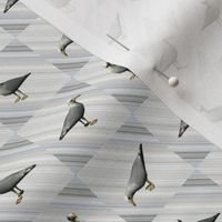 Seagulls on Gray 