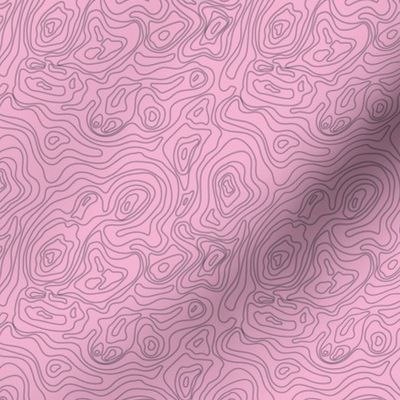 Topography- Pink