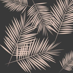 Palm leaves - Palm tree tropical fern leaves blush on graphite || by sunny afternoon