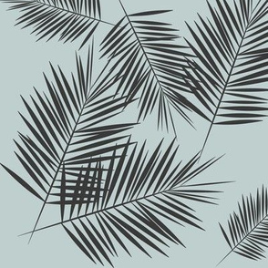 palm leaves - tropical palm fern summer graphite on sea foam pale blue || by sunny afternoon