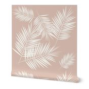 palm leaves - palm tree tropical fern summer ivory on blush || by sunny afternoon