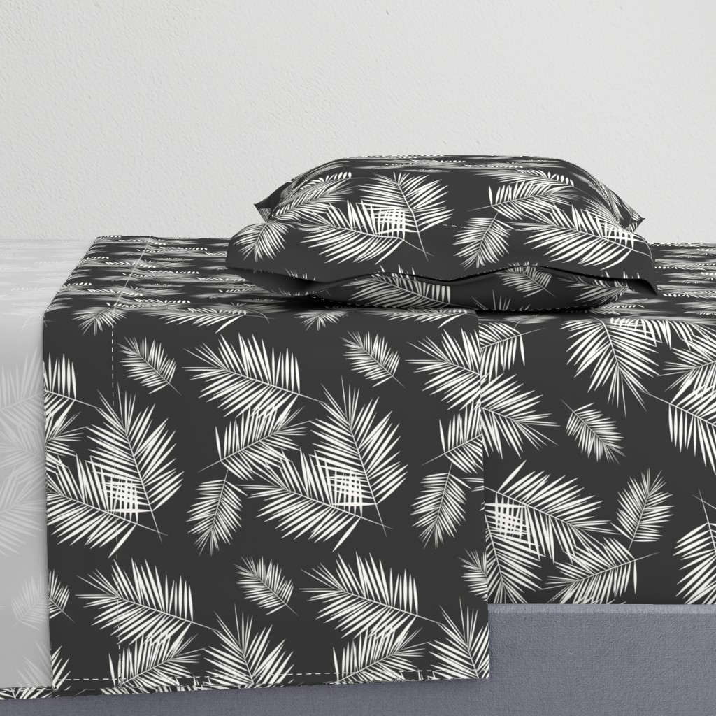 Palm leaves - fern palm tree white on graphite wasgphed black || by sunny afternoon 