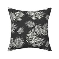Palm leaves - fern palm tree white on graphite wasgphed black || by sunny afternoon 