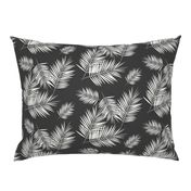 Palm leaves - fern palm tree white on graphite wasgphed black || by sunny afternoon 