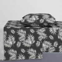 Palm leaves - fern palm tree white on graphite wasgphed black || by sunny afternoon 