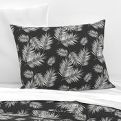 Palm leaves - fern palm tree white on graphite wasgphed black || by sunny afternoon 