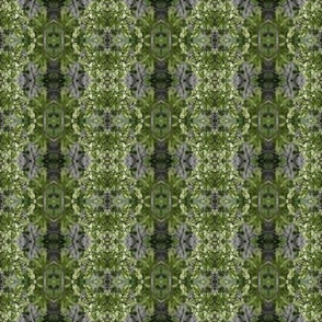 Greenery_Pattern