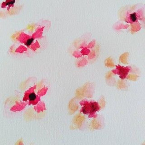 Manuka Flower - Water Colour