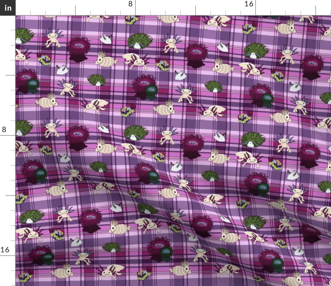 The Underwater Unexpected in purple plaid