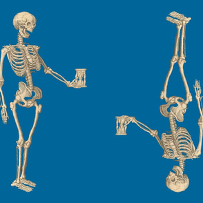 Double Skeletons on Blue Background