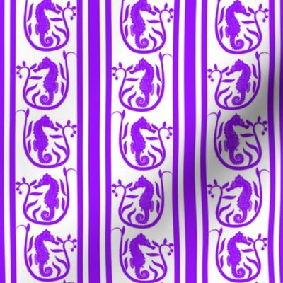 Seahorse Stripe Purple