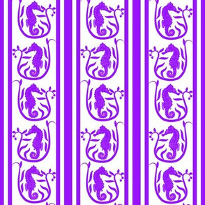 Seahorse Stripe Purple