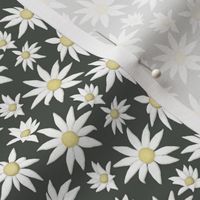 Flannel_Flowers___