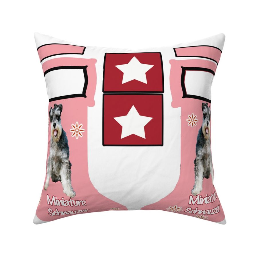 HOME_GOOD_SQUARE_THROW_PILLOW