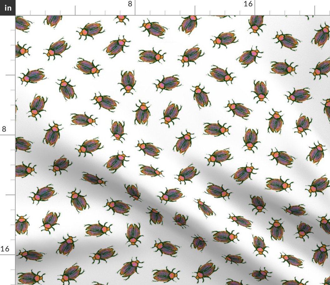 Beetles as Pretty as Butterflies