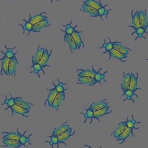 iridescent beetles on grey