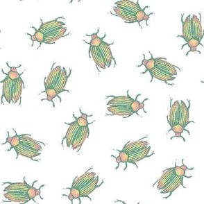 pastel spring beetles