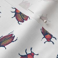 beetles for Matisse