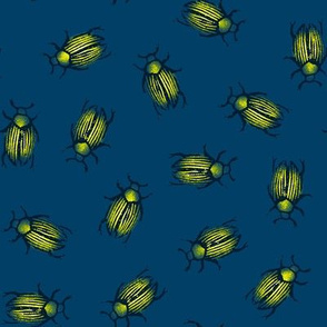 glow beetles