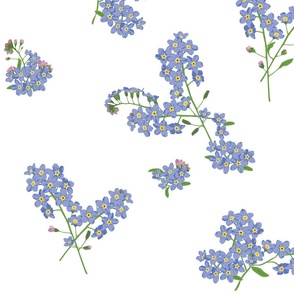 Forget Me Nots (Small Pattern)