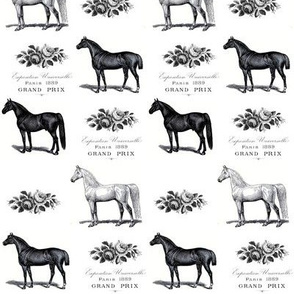 Horses and Roses in Black