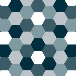 05615081 : R6V : spoonflower0220