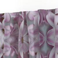 frangipani - large - painting effect