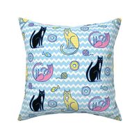 cats & donuts blue zig zag