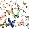 5615961-flutterby-by-inslee