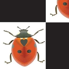 Ladybug check