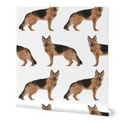 german shepherd dog white fabric cute dog dogs pet dog fabric german shepherd dog