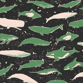 Whales in the Ocean [green]